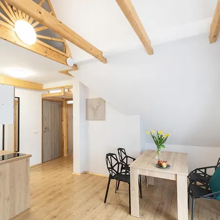 Διαμέρισμα U Nosa Ζακοπάνε